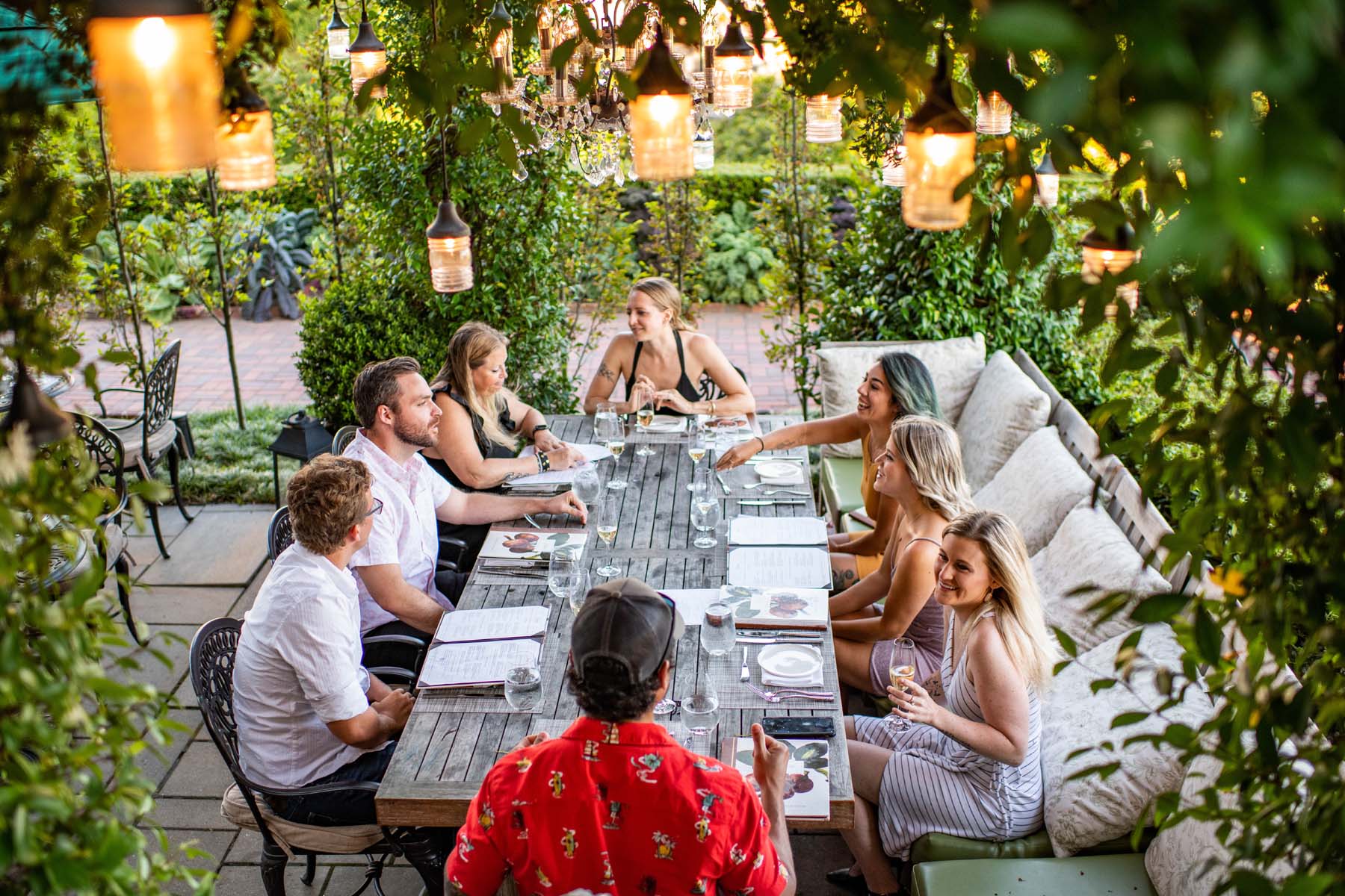 A group of people dining outside in a garden